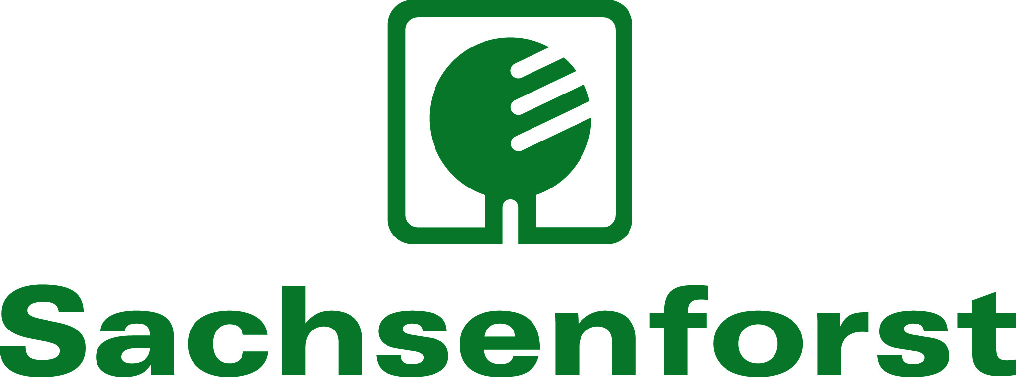 LogoSachsenforst4C C95 M11 Y70 K48