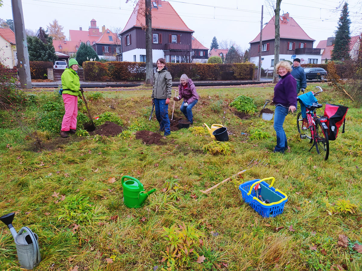 Arbeitsgruppe Umwelt