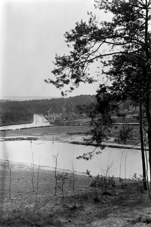 Gondler 1950